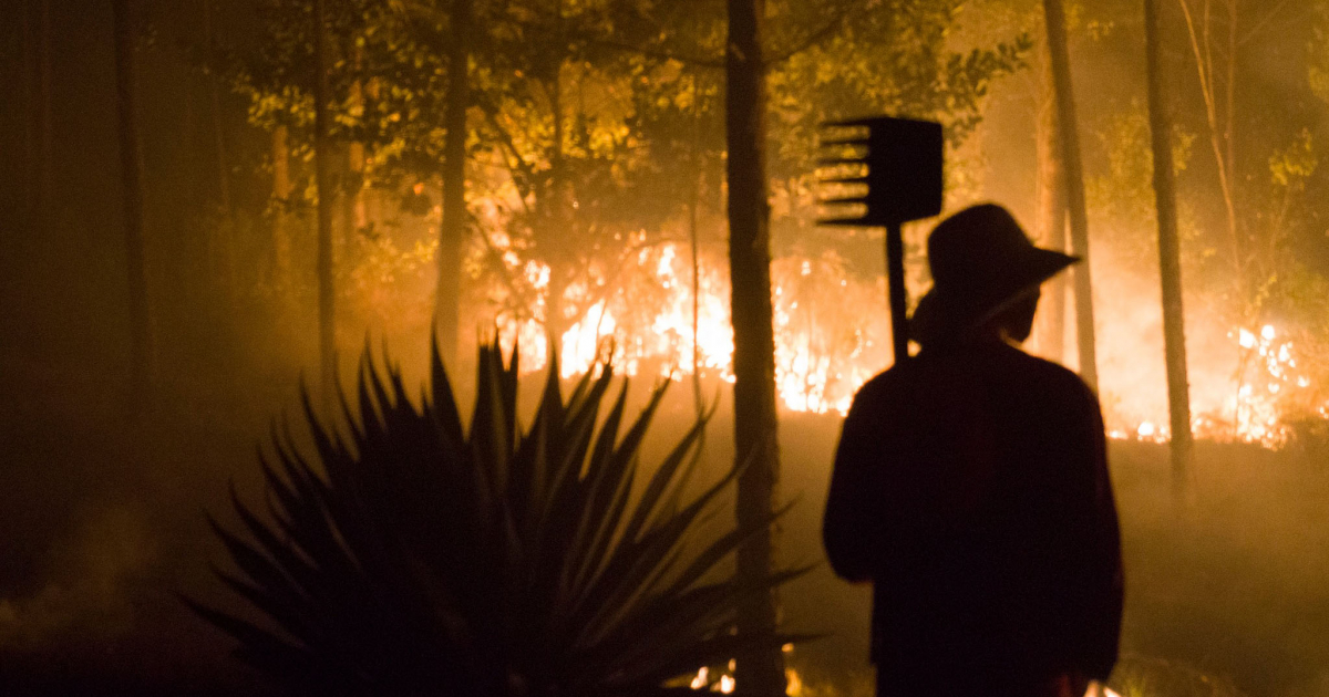 Contin A Sin Control Incendio Forestal De Grandes Proporciones En