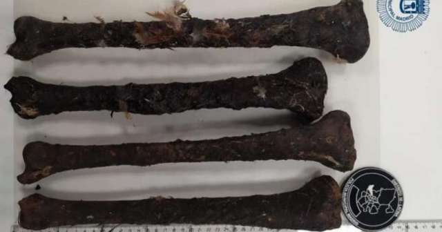 Confirman que huesos hallados en una tienda de santería cubana en Madrid son humanos y robados 