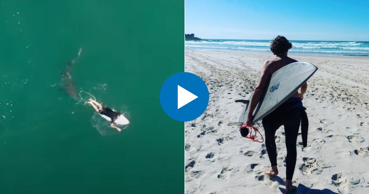 Collage Twitter / Surf Life Saving NSW - Instagram/ Matt Wilkinson
