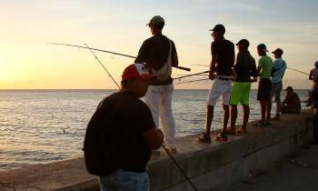 Cuba acuerda con la FAO combatir la pesca ilegal y no declarada