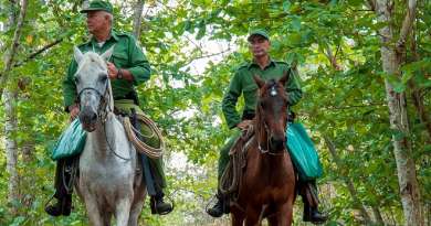 Autoridades cubanas denuncian caza ilegal de aves en áreas protegidas de Cayo Coco