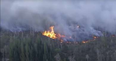 Incendio forestal daña miles de acres en los Everglades de Florida