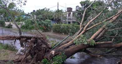 Daños preliminares en la Isla de la Juventud por el huracán Ian