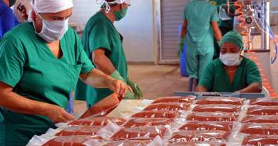 Cuba autoriza otro grupo de nuevas mipymes