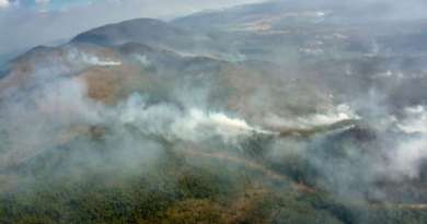 Recuperación tras incendio forestal en Pinares de Mayarí puede tardar hasta 40 años