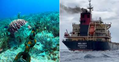 Barco cargado con piedra cubana para Tren Maya daña corales en México