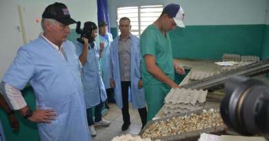 Díaz-Canel visita granja de pollitos semirrústicos en Villa Clara