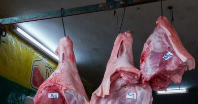 Empresas mexicanas listas para exportar carne de cerdo a Cuba