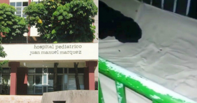 Cucarachas invaden hospital infantil Juan Manuel Márquez de La Habana