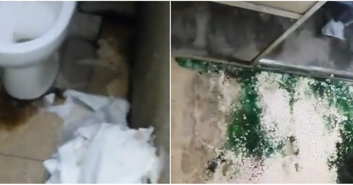 Con moho en la pared y falso techo caído: así está el baño de la sala