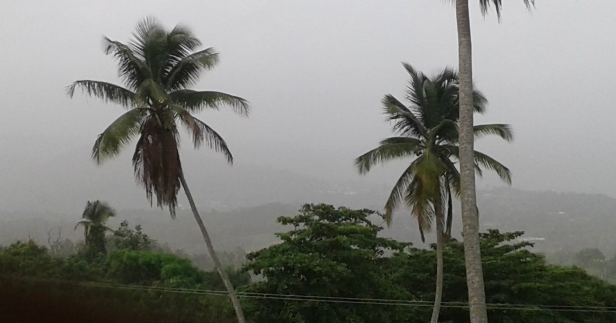 Puerto Rico cubierto por la inmensa nube de polvo del Sahara