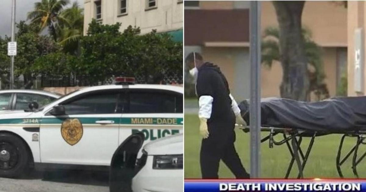Policía de Miami-Dade y captura de video de Local 7 News