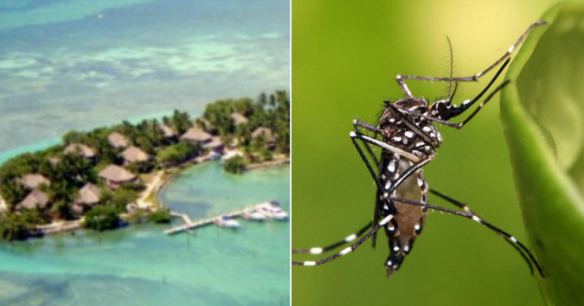 La Costa De Los Mosquitos Wikipedia