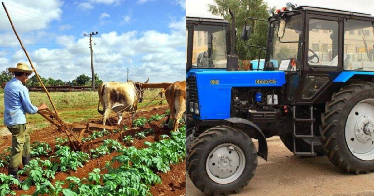 The Cuban government will start selling tractors in dollars to peasants