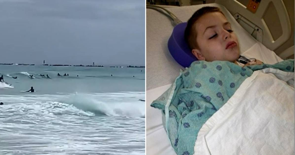 Niño de 9 años es atacado por un tiburón en Miami Beach