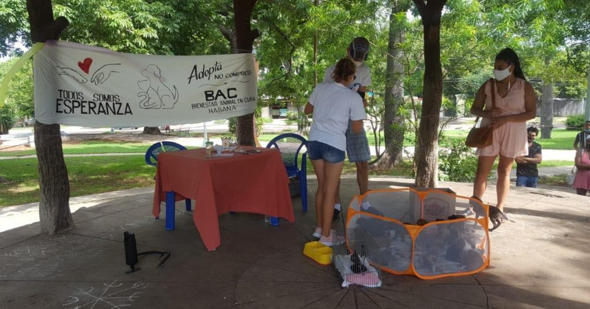 Facebook / BAC-Habana