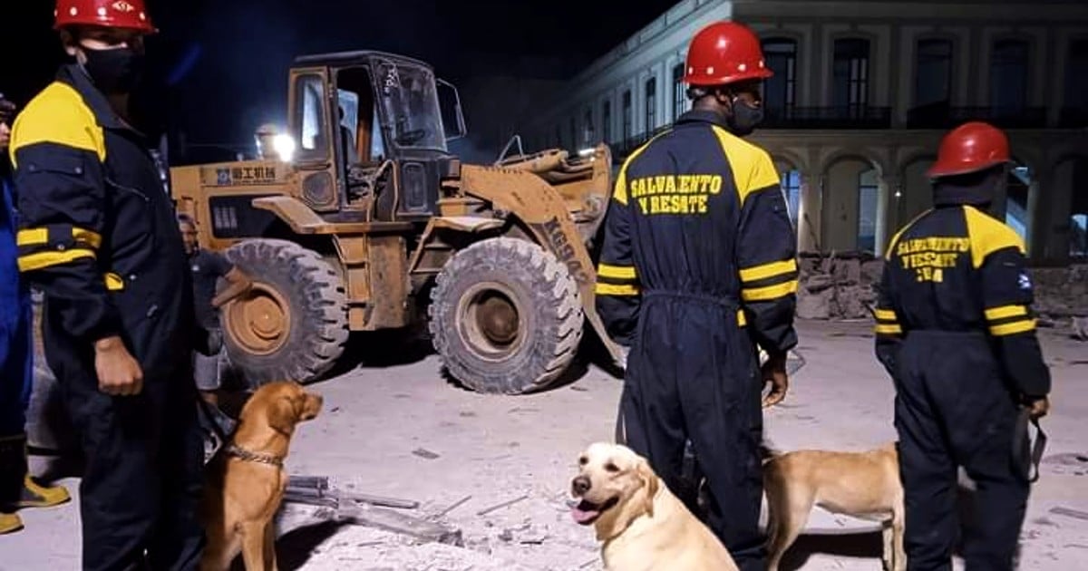 Agentes de salvamento y rescate en labores de búsqueda tras el suceso © Cubadebate