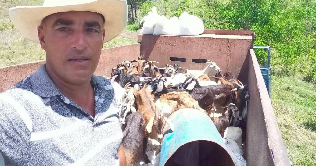 Campesino cubano y sus animales © Facebook / Rudys Avalo Carbonell