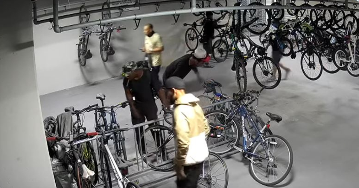 Los ladrones roban las bicicletas del condominio © Captura de video YouTube / Local 10
