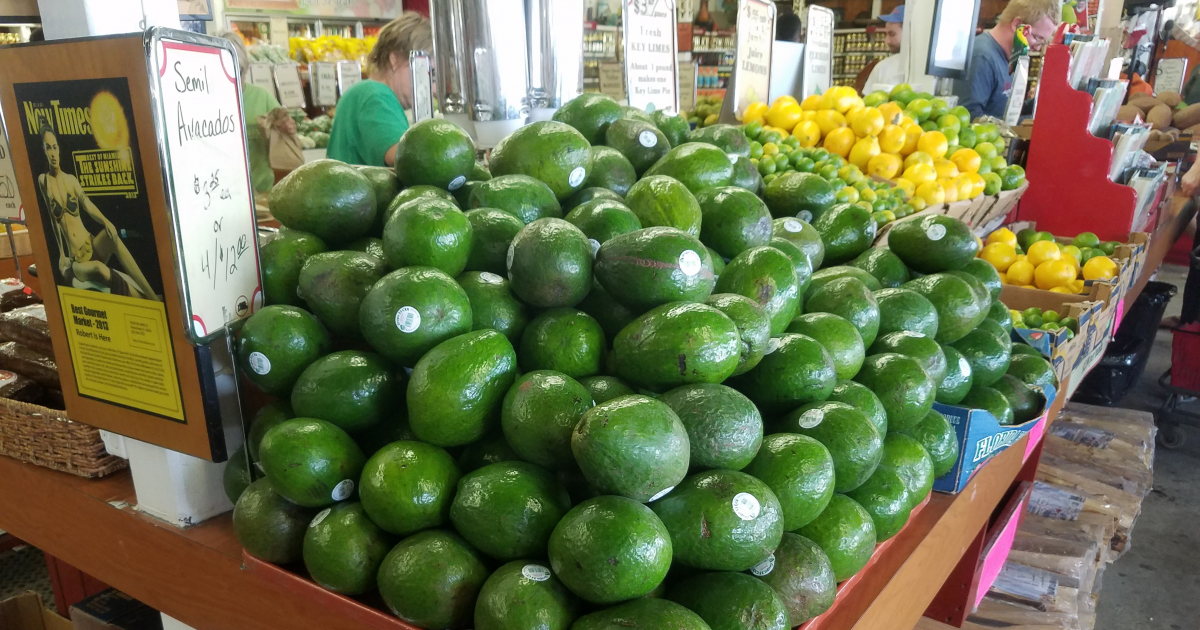 propiedades medicinales de la semilla de aguacate